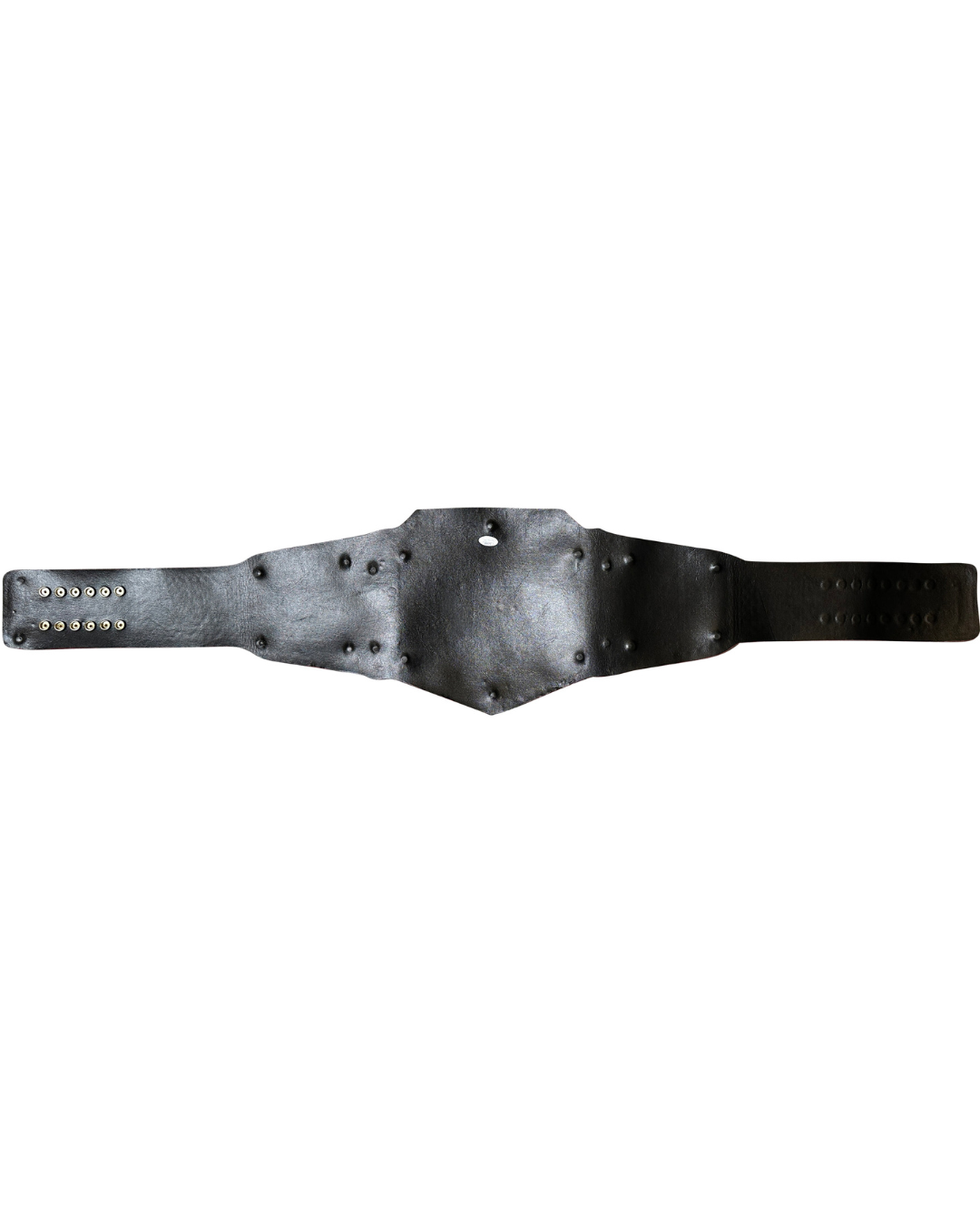 WWE WCW Bill Goldberg Autographed Signed Inscribed Replica Championship Belt JSA COA
