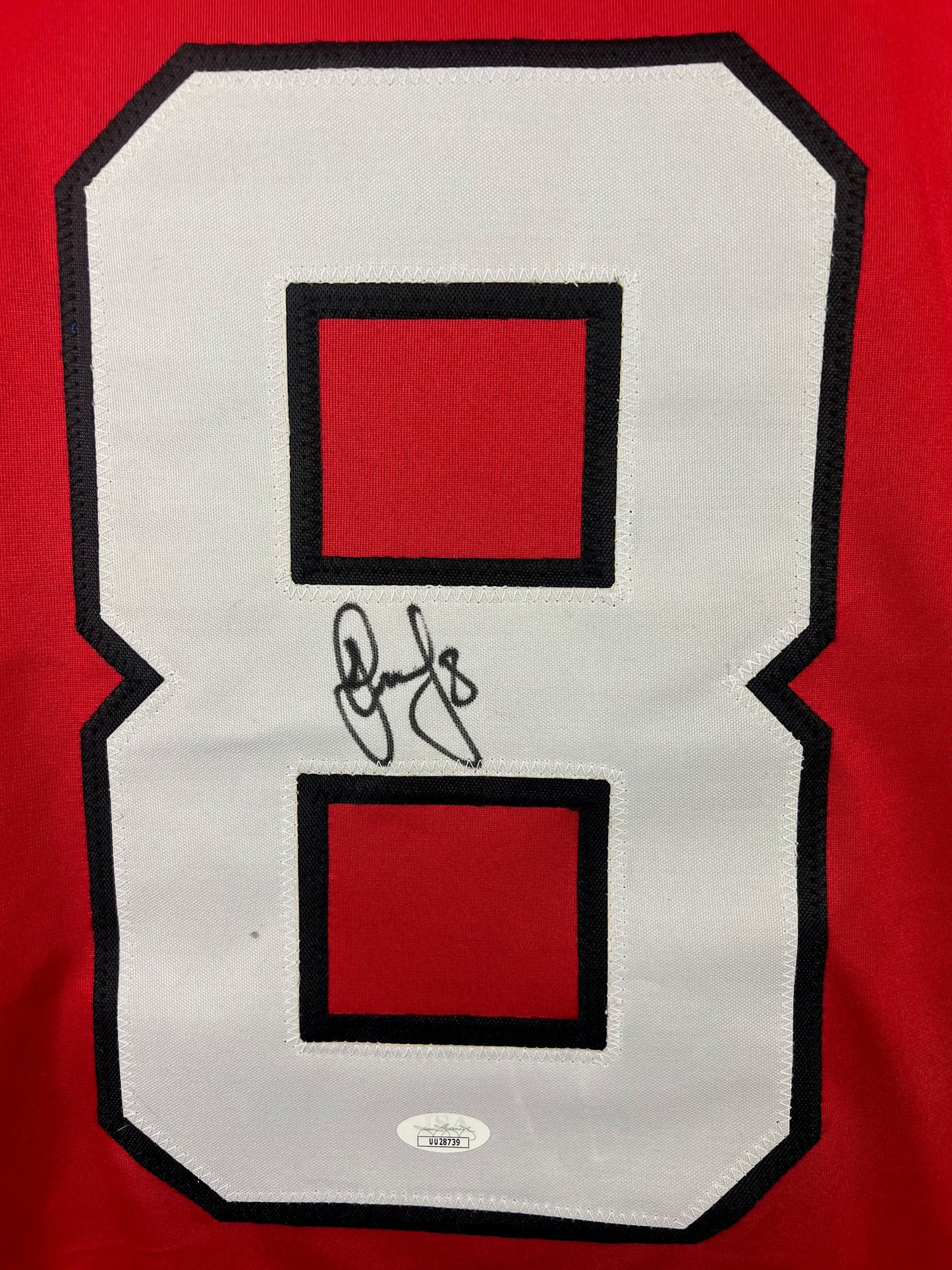 Dainius Zubrus signed autographed professional jersey JSA COA