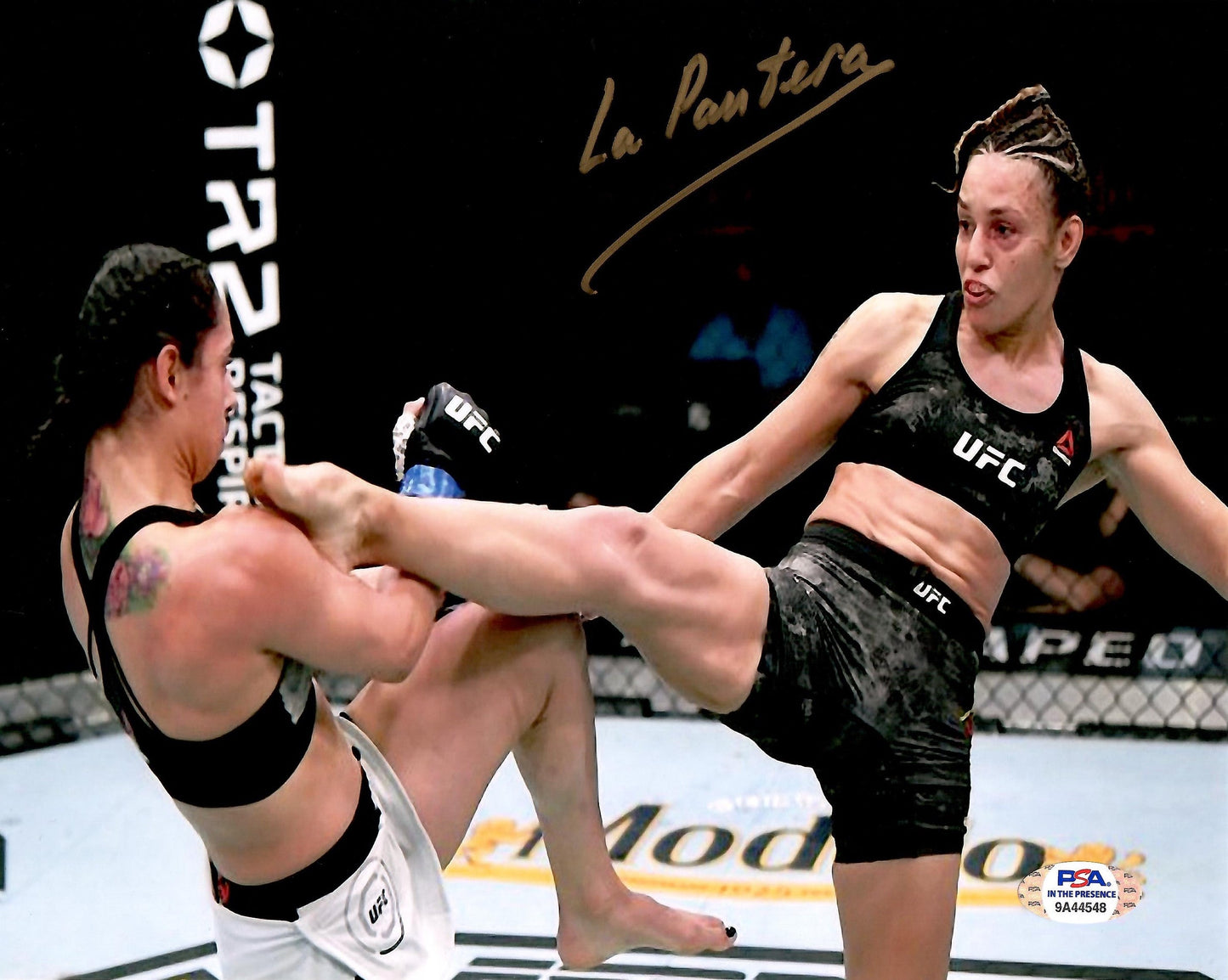 Antonina Shevchenko autographed signed 8x10 photo UFC PSA COA La Pantera