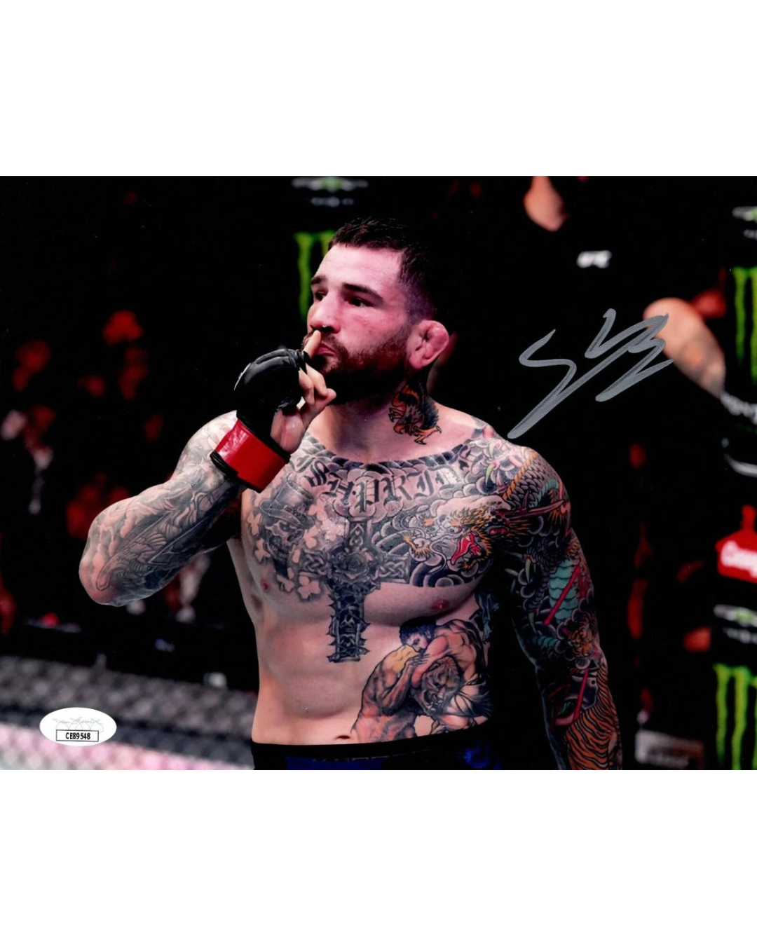 UFC Sean Brady Autographed Signed 8x10 Photo JSA COA